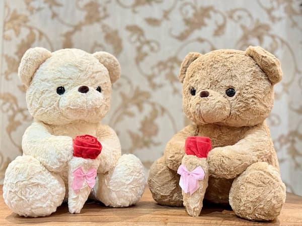 تصویر 5 از قیمت خرید خرس وخرگوش دختر و پسر با فروش عمده